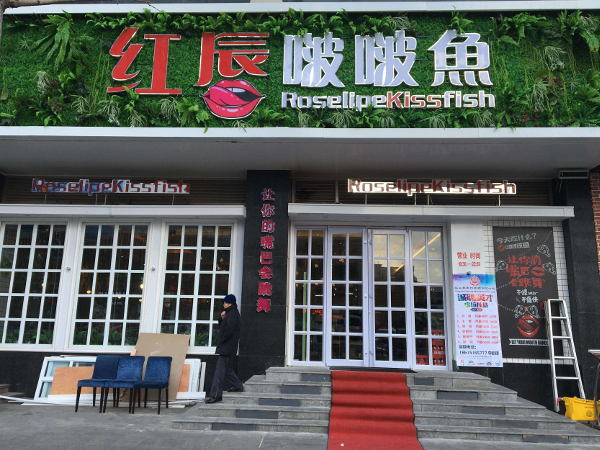 红唇啵啵鱼加盟